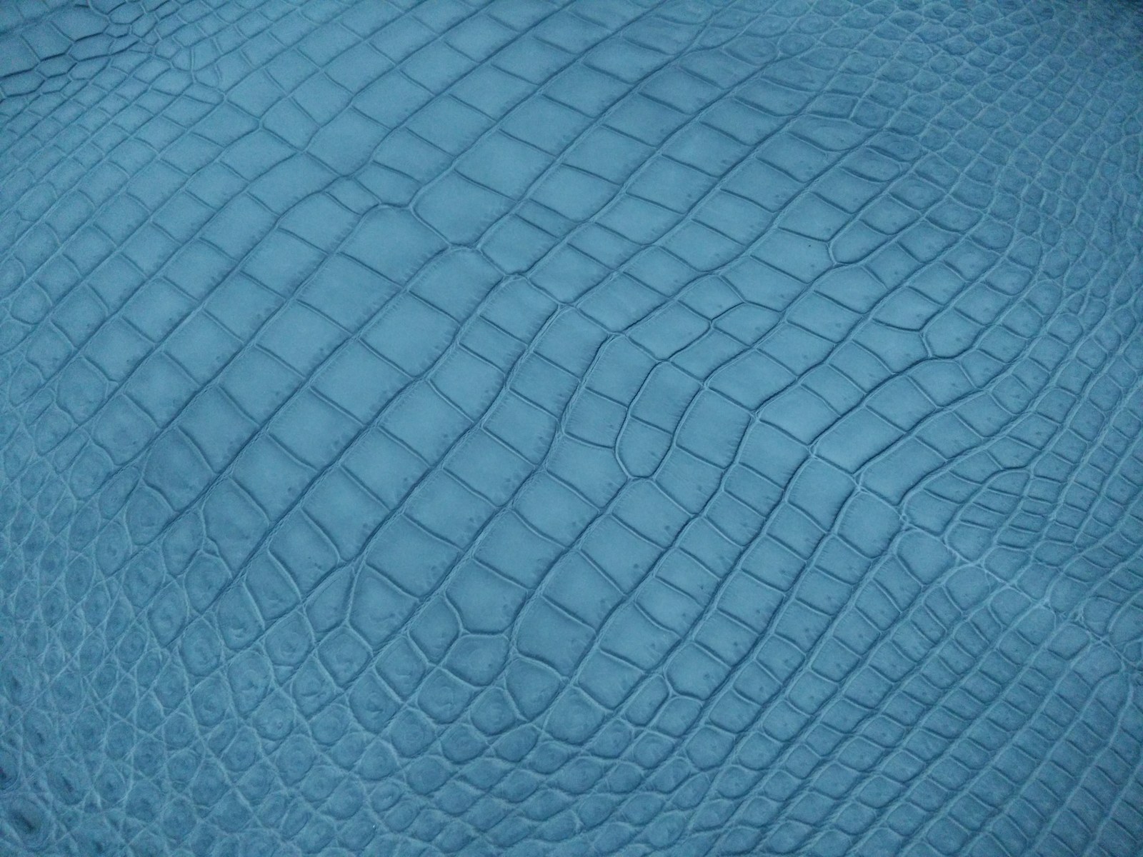 Blue genuine crocodile leather texture close-up